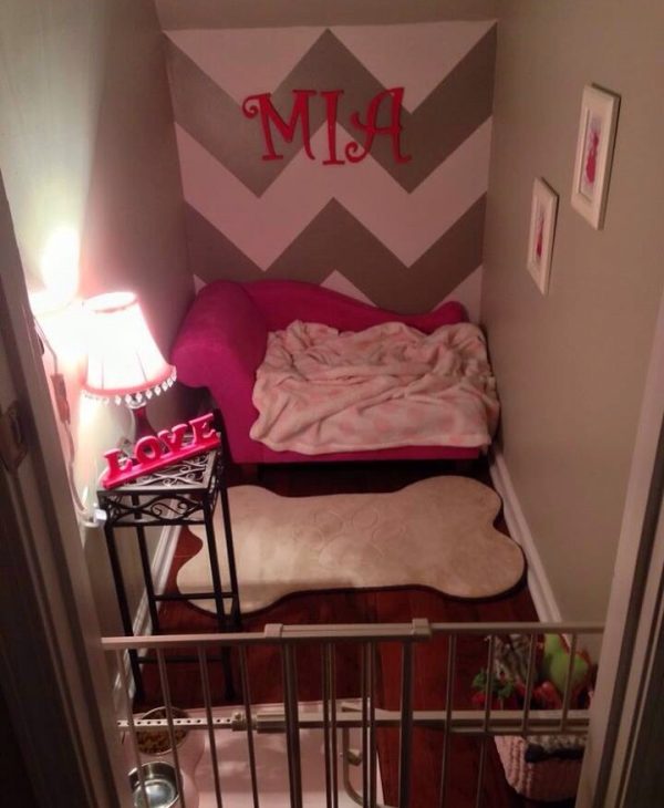 Pet-Room